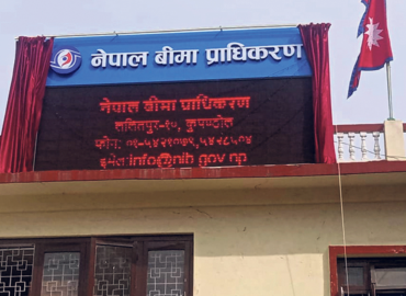 category photo