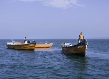 category photo