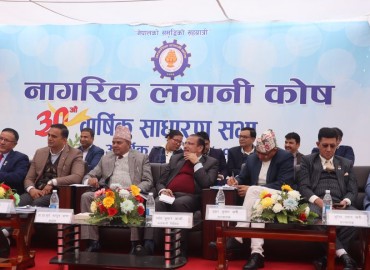category photo