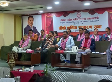 category photo