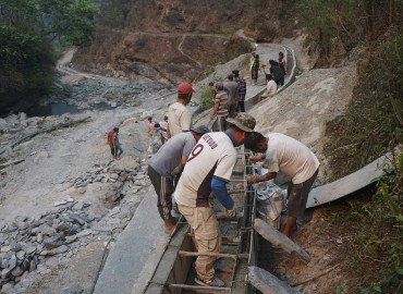 category photo