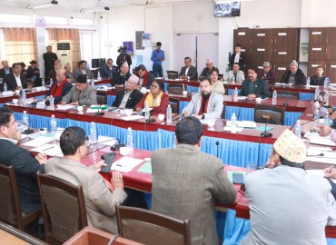 category photo