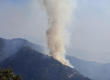 category photo