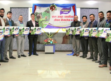 category photo
