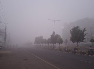 category photo