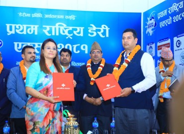 category photo
