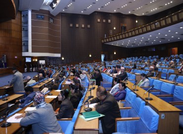 category photo