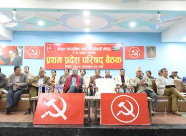category photo