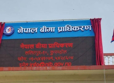 category photo