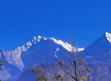 category photo