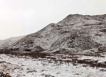 category photo