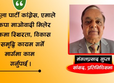 category photo