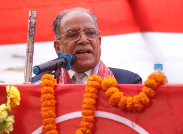 category photo