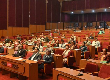 category photo