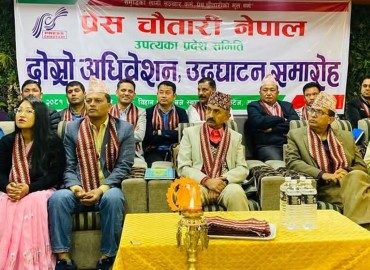 category photo