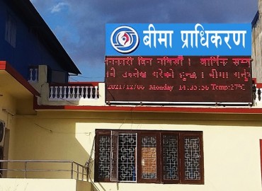 category photo