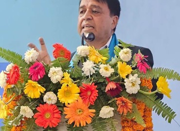 category photo