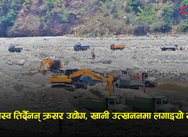 category photo