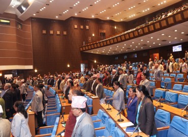 category photo