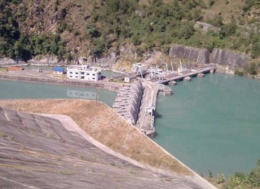 category photo
