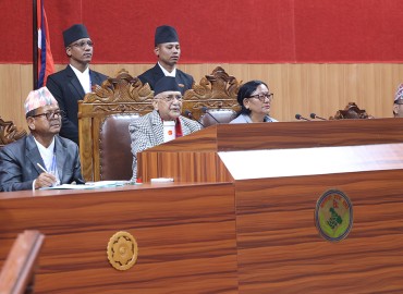 category photo