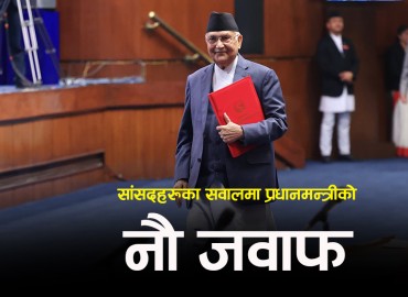category photo