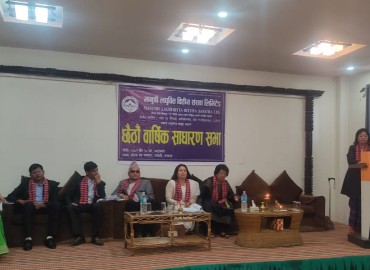category photo