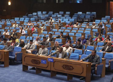 category photo