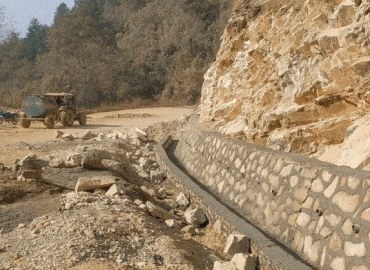 category photo