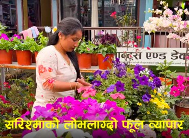 category photo