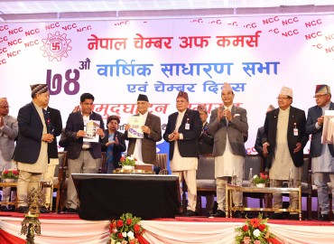 category photo