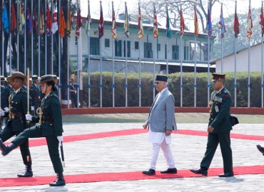 category photo