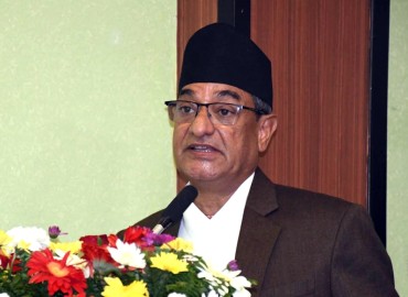 category photo
