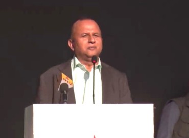 category photo