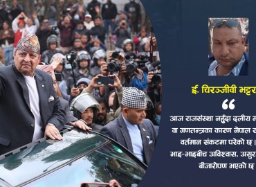 category photo