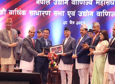 category photo