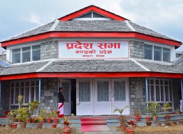 category photo