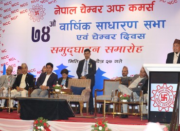 category photo