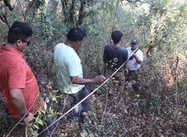 category photo