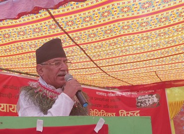 category photo