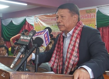 category photo