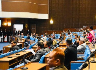 category photo