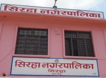 category photo