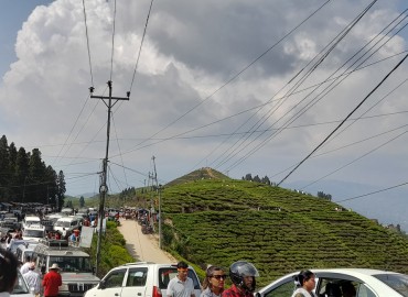 category photo