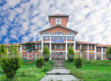 category photo