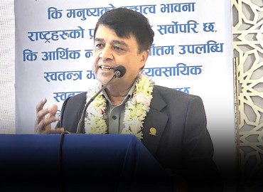 category photo