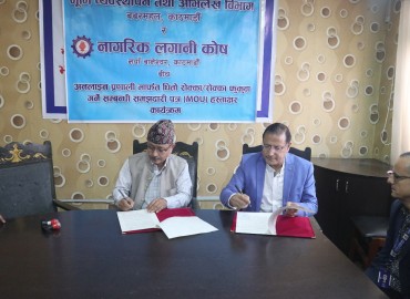 category photo