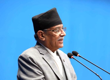 category photo