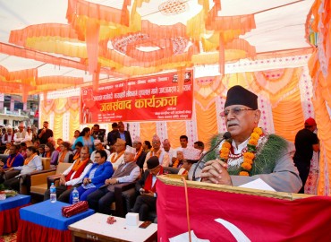 category photo