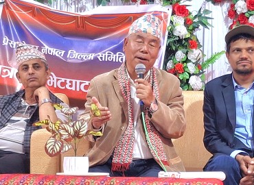 category photo